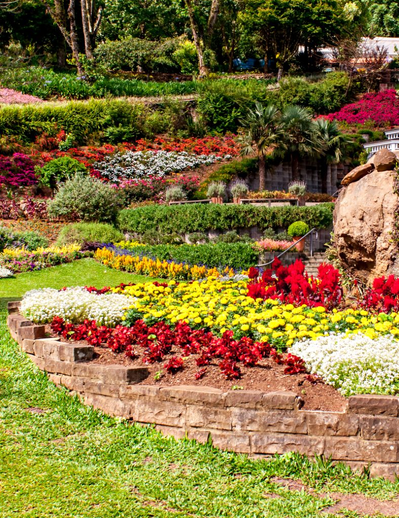 Le Jardin Lavender Park of Brazil, Gramado-RS.
